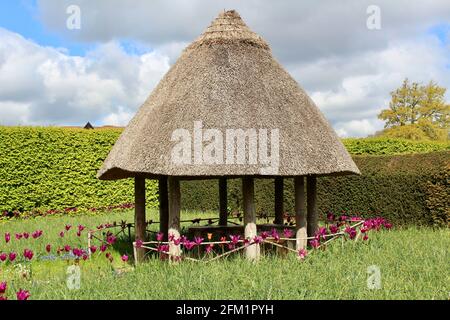 Arundel Castle Tulip Festival - 2021 - Maison d'été rustique au chaume dans un pré soutenu par la couverture. Banque D'Images