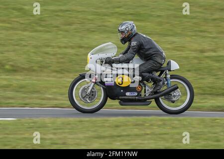 Approxes le Gooseneck au Cadwell Park International Classic in Juillet 2015 Banque D'Images