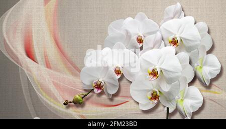 texture de papier peint 3d, orchidées blanches sur texture toile de tissu. Effet mural. Banque D'Images