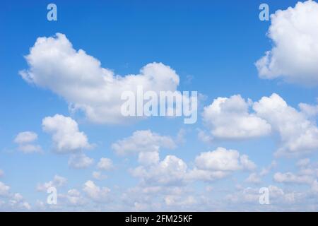 Les nuages Cumulus dans un ciel bleu avec des nuages blancs moelleux arrière-plan blanc nuages bleu ciel blanc nuages seulement royaume-uni Banque D'Images