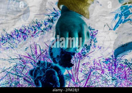 photofantantastic : animales, paisajes y flores con filtros, satacion y temperatura extrema, y con efecto espejo. Banque D'Images