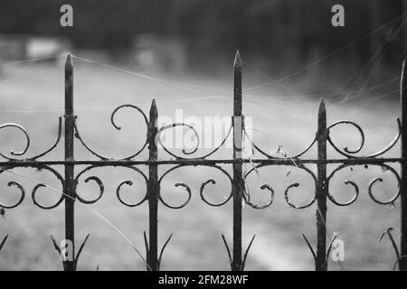 clôture en fer forgé en noir et blanc Banque D'Images