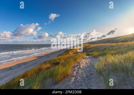 Paysage mer du Nord plage vue du sud au nord avec Dunes au lever du soleil et au soleil juste au-dessus du bord des dunes avec des couleurs chaudes sur la végétation et le Banque D'Images