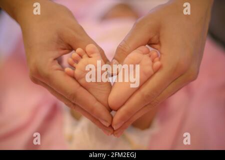 Les pieds de bébé nouveau-né dans les mains de sa mère en forme de coeur. Mère montrant son amour et son affection. Banque D'Images