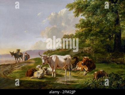 Paysage avec bétail. Il y a des vaches et des moutons à une piscine le long d'une route, à droite une chèvre est en train de manger des buissons. La femme d'un agriculteur vient Banque D'Images