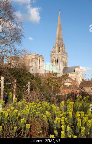 La Cathédrale de Chichester de palais des évêques Jardins, West Sussex, Angleterre Banque D'Images