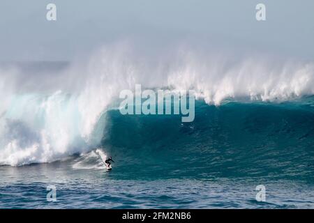 SYDNE, AUSTRALIE - 25 mai 2016 : surfeur australien descendant une vague géante à Coogee Beach entre les plages de Bondi et Maroubra au sud de Sydney A. Banque D'Images