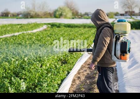 Un agriculteur pulvérise des produits chimiques dans un champ de plantation de pommes de terre. Protection des plantes cultivées contre les insectes et les infections fongiques. Augmentation de la récolte. Contrôle Banque D'Images