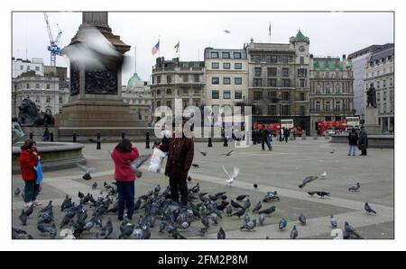 Une des dernières propriétés résidentielles disponibles sur Trafalgar Square. 60 Trafalgar carrés est sur le marché. La propriété est la plus légère au centre de frame.pic David Sandison 4/3/2002 Banque D'Images