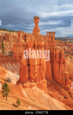 le marteau et les hoodoos de thor dans l'amphithéâtre du parc national de bryce canyon, utah Banque D'Images