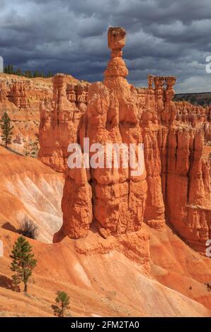 le marteau et les hoodoos de thor dans l'amphithéâtre du parc national de bryce canyon, utah Banque D'Images