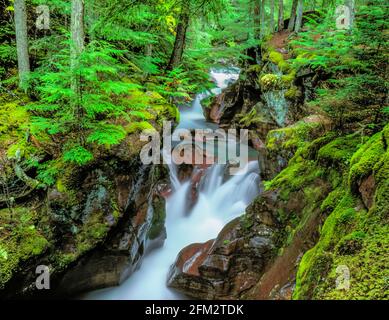 avalanche creek qui coule à travers une gorge dans le parc national du glacier, montana Banque D'Images