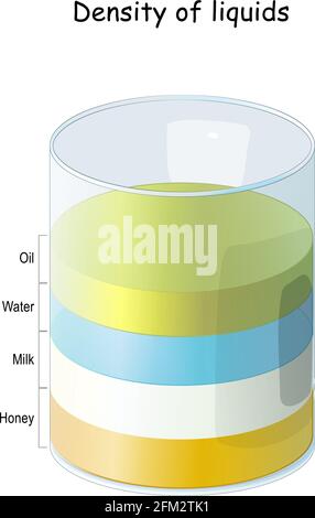 Densité des liquides. Expérience en laboratoire avec le bécher, le miel, l'eau de lait et l'huile. Apprenez la physique et la chimie. Illustration vectorielle Illustration de Vecteur