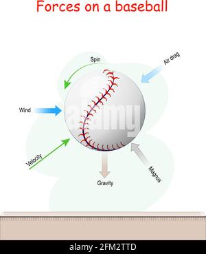 Forces agissant sur un baseball en vol: Gravité, vent, vitesse, spin, Air Drag, Et Magnus Force. Illustration vectorielle Illustration de Vecteur