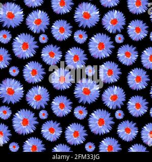 Motif violet aster fleurs sans couture Banque D'Images