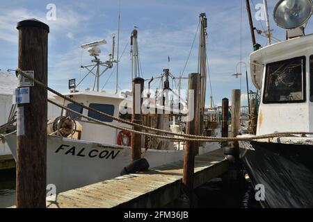 Bateaux commerciaux pour attraper des crevettes du golfe du Texas et des fruits de mer frais Banque D'Images