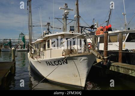 Bateaux commerciaux pour attraper des crevettes du golfe du Texas et des fruits de mer frais Banque D'Images