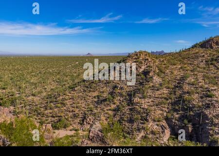 Vue depuis la zone de pique-nique de Sus, le parc national de Saguaro, le quartier des montagnes de Tucson, Arizona, États-Unis Banque D'Images