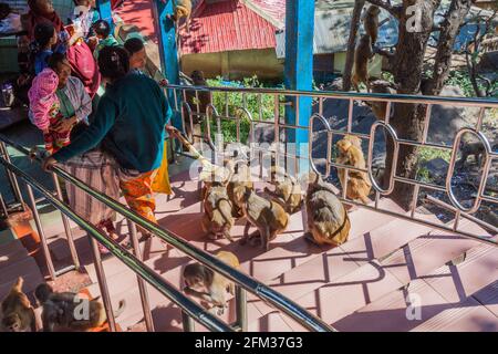 Mt POPA, MYANMAR - 8 DÉCEMBRE 2016 : des gens et des macaques à l'escalier menant au Mont Popa, au Myanmar Banque D'Images