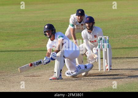 Wayne Madsen dans l'action de batting pour Derbyshire comme James Foster regarde de derrière les souches pendant Derbyshire CCC vs Essex CCC, Specsavers County CH Banque D'Images