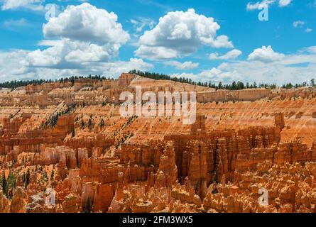 Paysage de Bryce Canyon en été avec formations rocheuses de hoodoo, parc national de Bryce Canyon, Utah, États-Unis d'Amérique, États-Unis. Banque D'Images