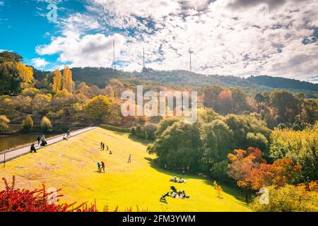 Crafers, Australie méridionale - 17 avril 2021 : personnes ayant pique-nique en famille sur la pelouse dans le parc d'automne, par une journée ensoleillée Banque D'Images