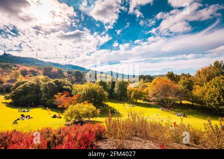 Crafers, Australie méridionale - 17 avril 2021 : personnes ayant pique-nique en famille sur la pelouse dans le parc d'automne, par une journée ensoleillée Banque D'Images