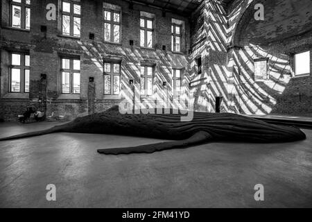 Berlin, Allemagne. 05e mai 2021. Exposition à l'église Sainte-Elisabeth à Berlin, Offene Kirche The Cast Whale Project par Gil Shachar en Allemagne. (Photo de Beata Siewicz/Pacific Press) crédit: Pacific Press Media production Corp./Alay Live News Banque D'Images