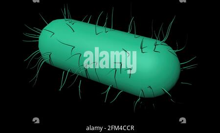 Illustration 3D - cellules bactériennes science 3d cette image peut être utilisée pour décrire toute bactérie en forme de tige, par exemple, la tuberculose, la salmonelle, l'anthra Banque D'Images