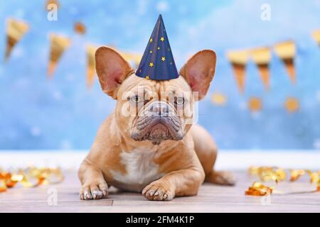 Bulldog français avec chapeau de partie d'anniversaire devant flou fond bleu avec guirlandes et banderoles de fête Banque D'Images