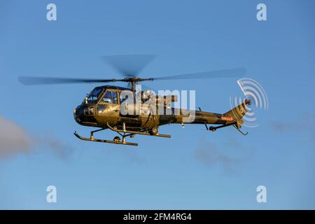 Hélicoptère scout de Westland de l'armée britannique Banque D'Images