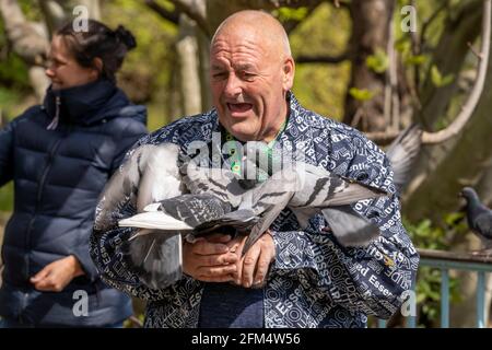 LONDRES, Royaume-Uni – 1er mai 2021 : un vieillard excentrique est vu avec des pigeons perchés sur ses bras pendant qu'il nourrit les oiseaux dans un parc local. Banque D'Images