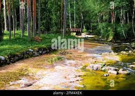 Finlande, Kotka: Langinkoski rapide sur la rivière Kumi. Ruisseau forestier avec un pont. Banque D'Images