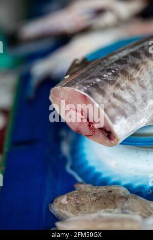 Poisson frais pêché dans un marché traditionnel à Bornéo, en Malaisie, en Asie du Sud-est Banque D'Images