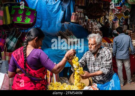 Mysuru, Karnataka, Inde - janvier 2019 : un homme indien âgé qui vend des fleurs sur une place du marché dans la ville de Mysore. Banque D'Images