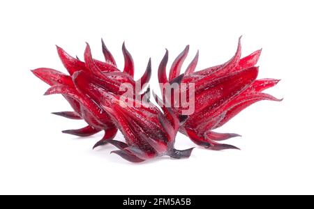 Roselle Hibiscus sabdariffa fleur de fruit rouge sur fond blanc. Banque D'Images