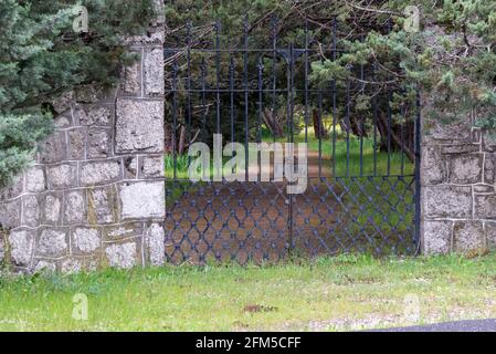 Une porte en métal au milieu de la forêt Banque D'Images