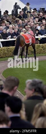 FESTIVAL NATIONAL DE CHASSE CHELTENHAM 1ER JOUR 11/3/2003 PHOTO DAVID ASHDOWN COURSE CHELTENHAM Banque D'Images