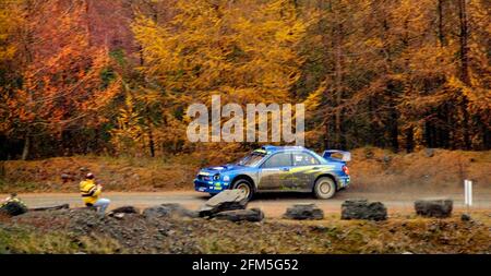 NETWORK Q RALLYE DE GB DANS LA FORÊT DE LA MOITIÉ DU PAYS DE GALLES 23/11/2001 RICHARD BURNS ET ROBERT REID DANS UNE PHOTO DE SUBARU DAVID ASHDOWN. Banque D'Images