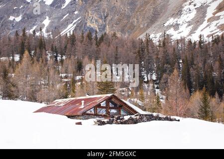 Cabine de wodden sous la neige. Cabane pittoresque couverte de neige avec des pins dans les montagnes des alpes. Suisse Banque D'Images