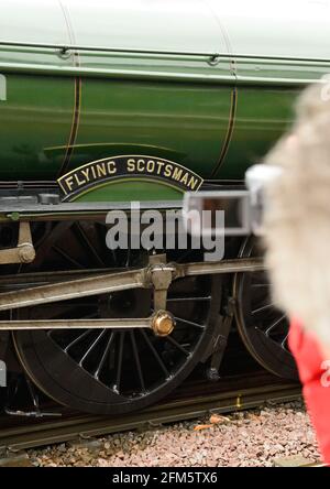 Un spectateur vidéoludique célèbre locomotive à vapeur Flying Scotsman, lors d'une journée humide à Salisbury.21.05.2016. Banque D'Images