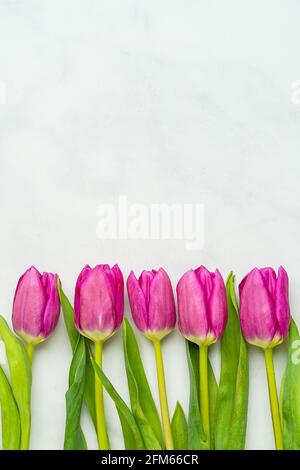 Tulipes roses sur fond de marbre Banque D'Images