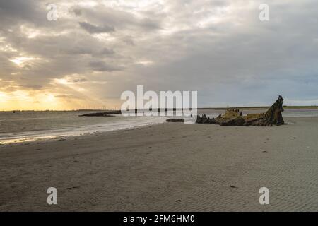 Coucher de soleil sur la côte de Hansweert aux pays-Bas, Old Shipwreck Banque D'Images