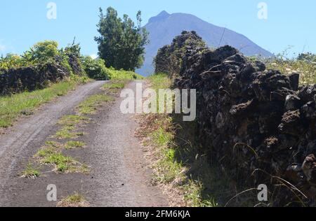 Routes rurales de l'île de Pico, archipel des Açores Banque D'Images