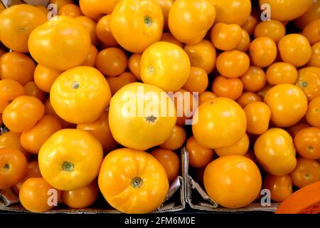 Encore la vie avec la récolte de nombreuses tomates mûres jaunes à l'intérieur vue de dessus des boîtes de cartonné dans le magasin de légumes gros plan Banque D'Images