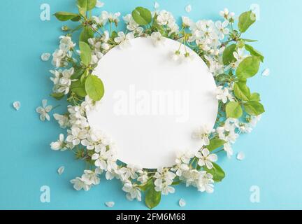 Élégante composition florale avec papier blanc rond au centre du fond bleu. Maquette de marque, concept de marketing des fêtes. Composition de la cerise Banque D'Images