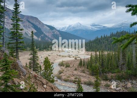 Sentier des chutes du glacier Bow dans le parc national Banff, au Canada, un jour très froid et nuageux de septembre. Nature sauvage des Rocheuses canadiennes par temps violent. Banque D'Images