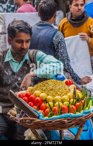 DELHI, INDE - 24 JANVIER 2017 : vendeur de nourriture de rue dans une rue à Delhi. Banque D'Images