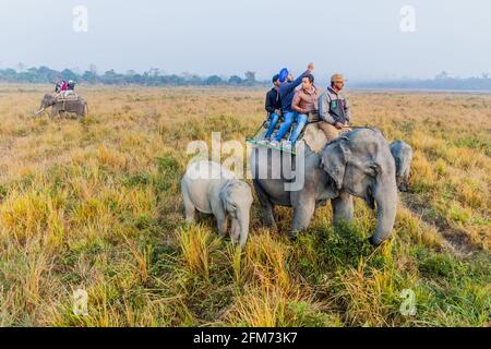 KAZIRANGA, INDE - 30 JANVIER 2017 : touristes pendant le safari à dos d'éléphant dans le parc national de Kaziranga, Inde