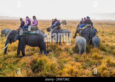 KAZIRANGA, INDE - 30 JANVIER 2017 : touristes pendant le safari à dos d'éléphant dans le parc national de Kaziranga, Inde Banque D'Images